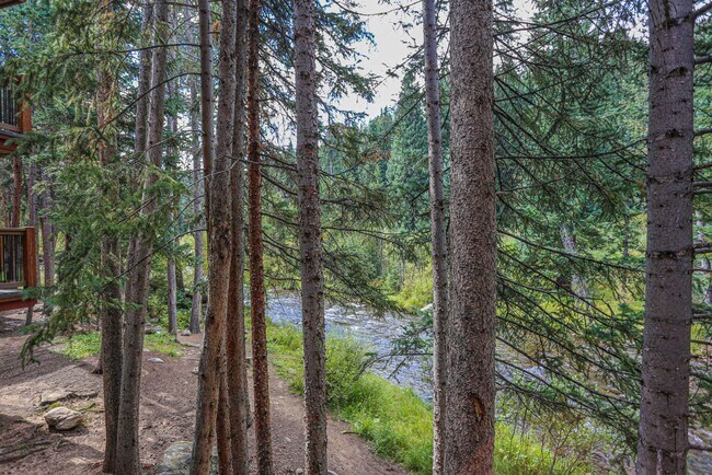 Photo - Walk to everything! Partially Furnished! Flexible lease terms!