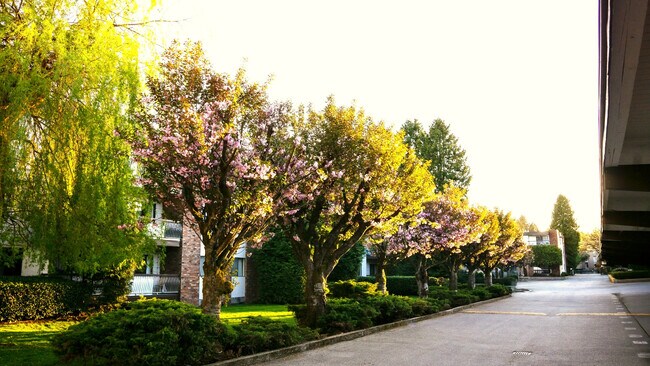 Photo - Cedar Lodge Apartments