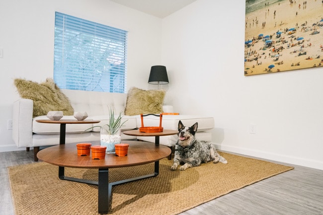 Photo - Coronado 137