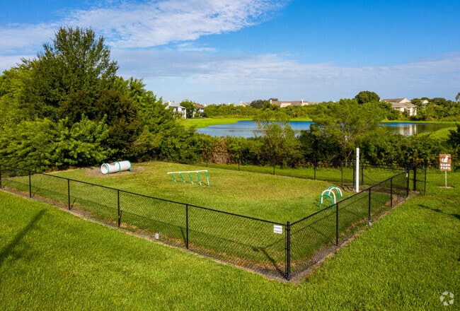 Dog Park