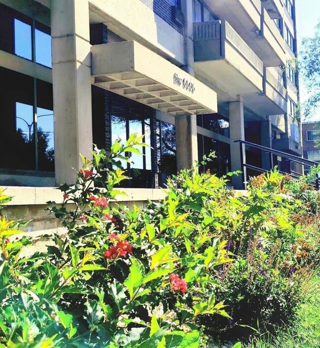 Photo - 5505 Boul Cavendish