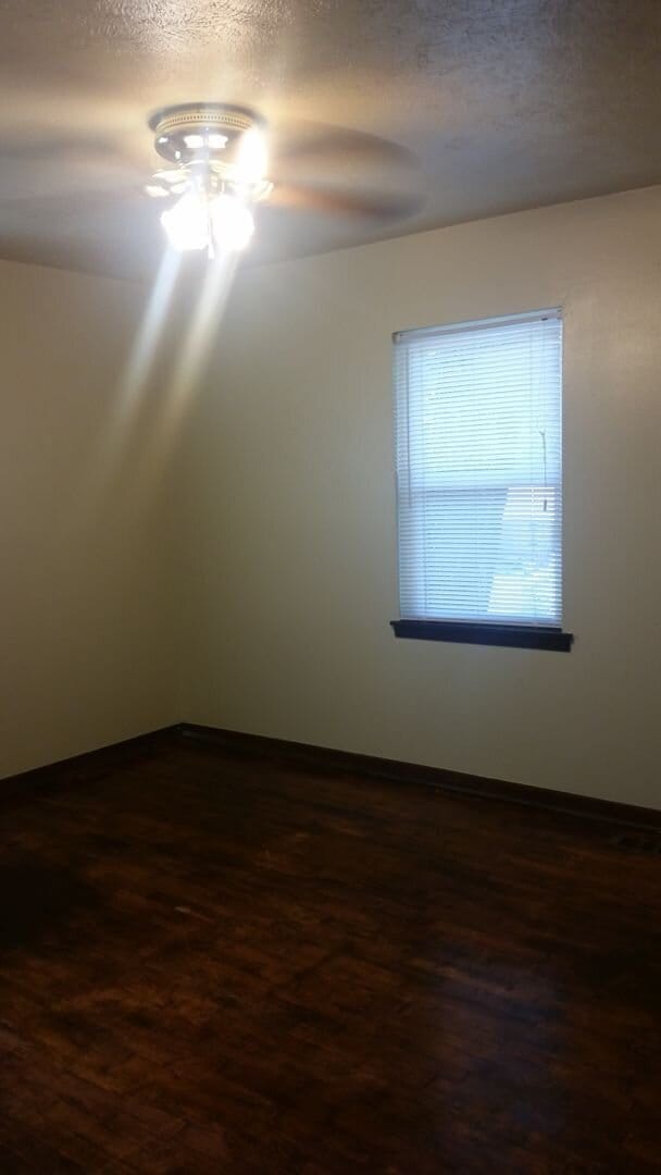 Vibrant 3 bedroom 1 bathroom