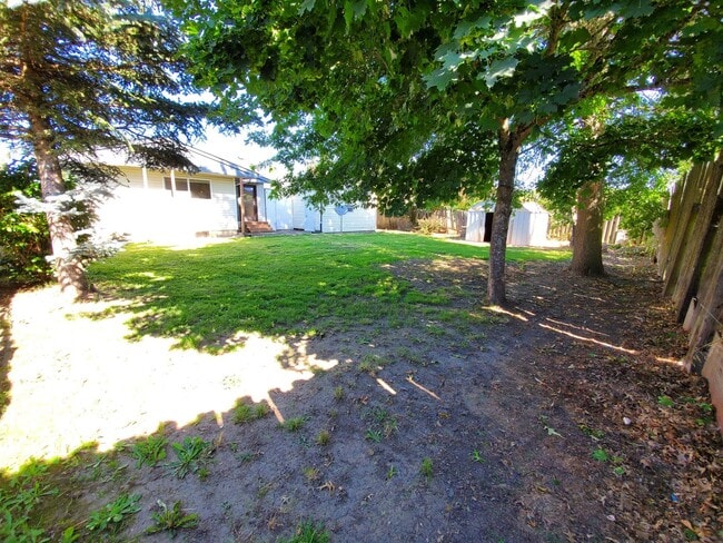 Photo - 3 Bed 2 Bath Home w/ storage shed