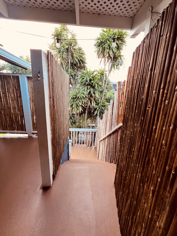 Photo - 293 Alaume St