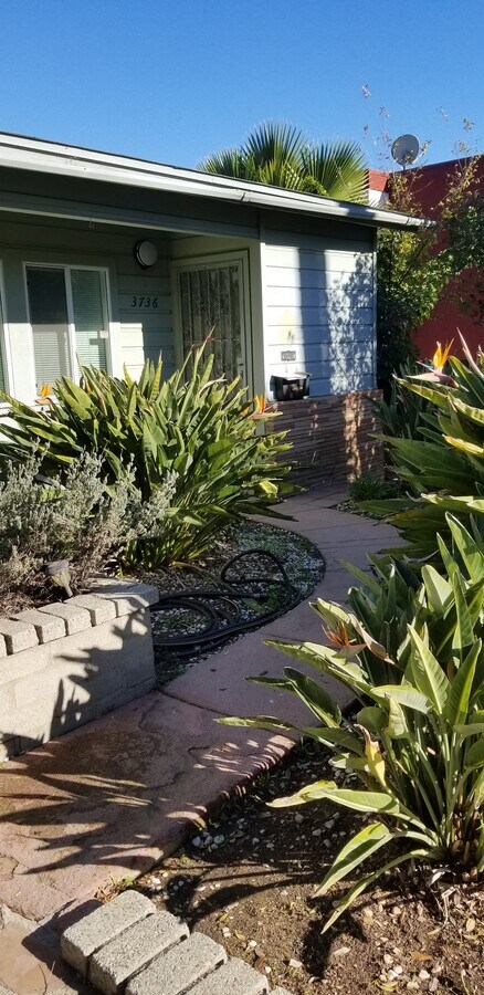 Front walkway - 3736 Sawtelle Blvd Unidad 3736
