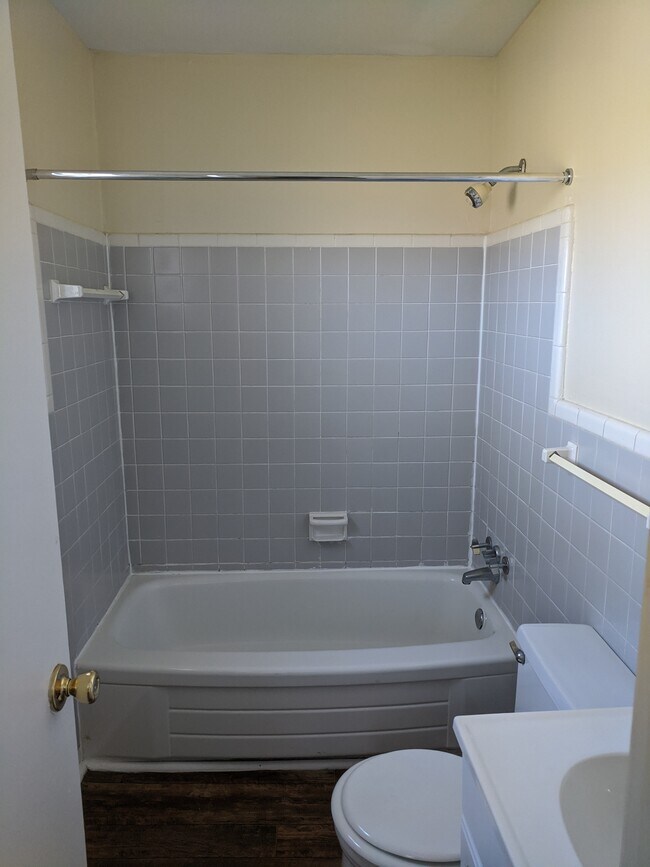 1 bedroom bath - East Lake Apartments