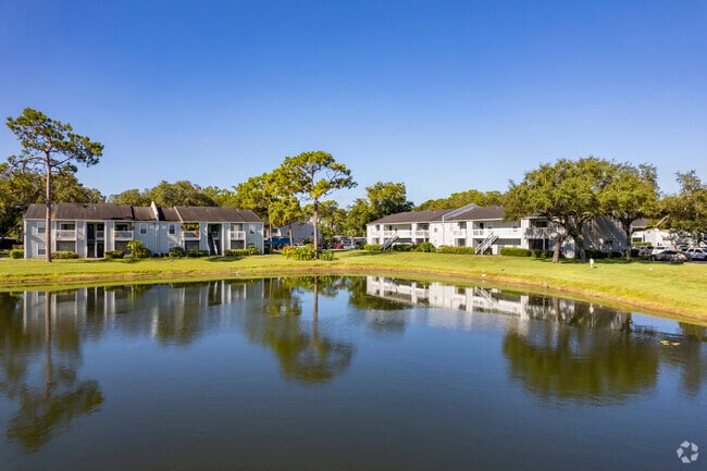 202 Windwood Oaks Dr Tampa, FL, 33613
