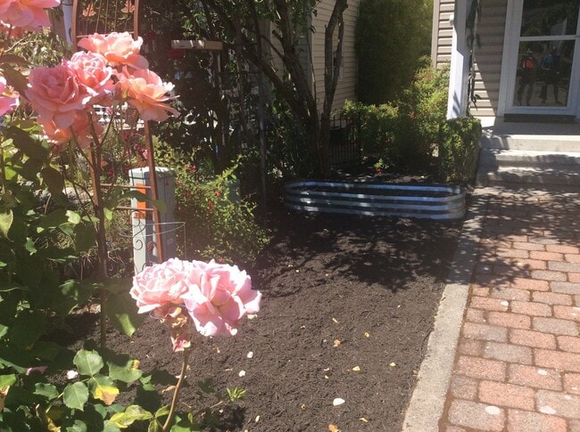 Photo - Charming 3 Bedroom Home - Available Now! Seatac area