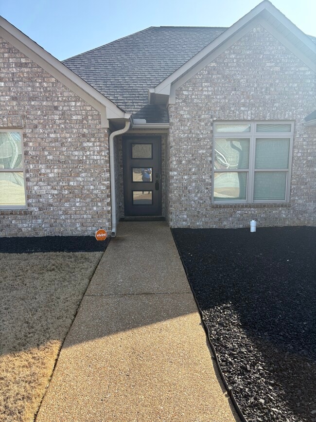 Photo - Home at last