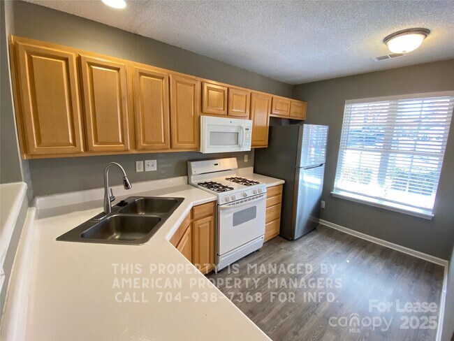 Photo - 10580 English Setter Way