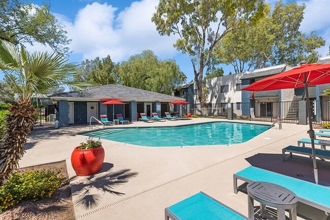 Photo - Solano Springs