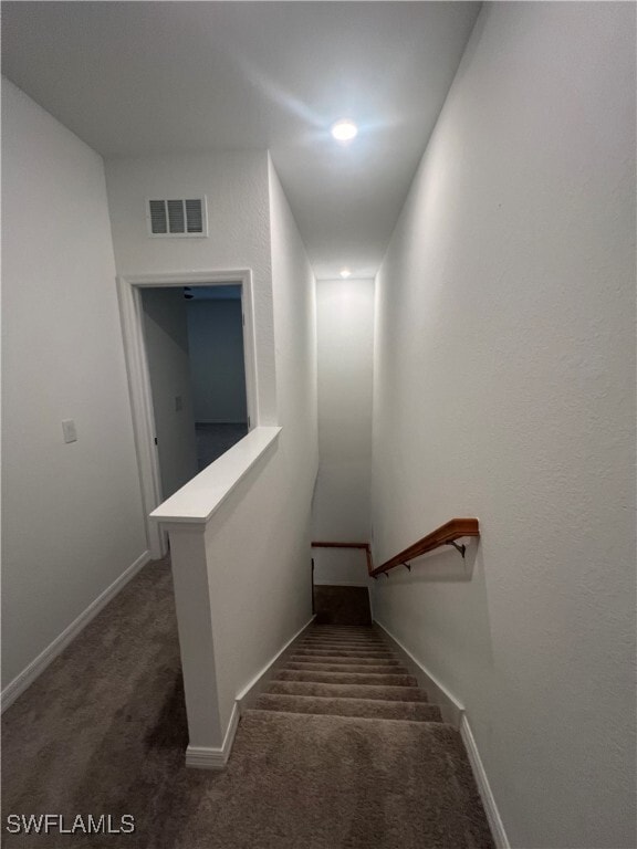 Photo - 2827 Blossom Wy