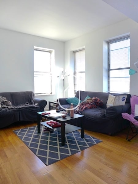 Photo - 31 Cunard St