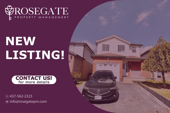 Building Photo - Cozy & Modern 2-Bedroom Lower Unit 2