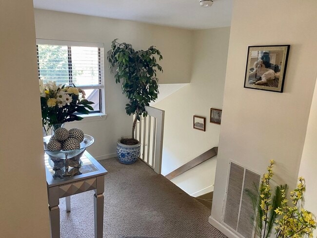 Photo - 215 Trailside Way