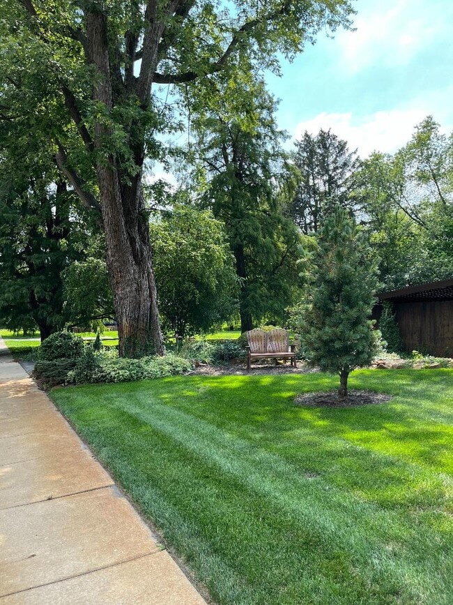 Photo - Maple Manor Apartments