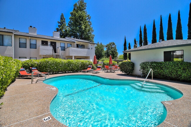 Larkspur apartments — community photo