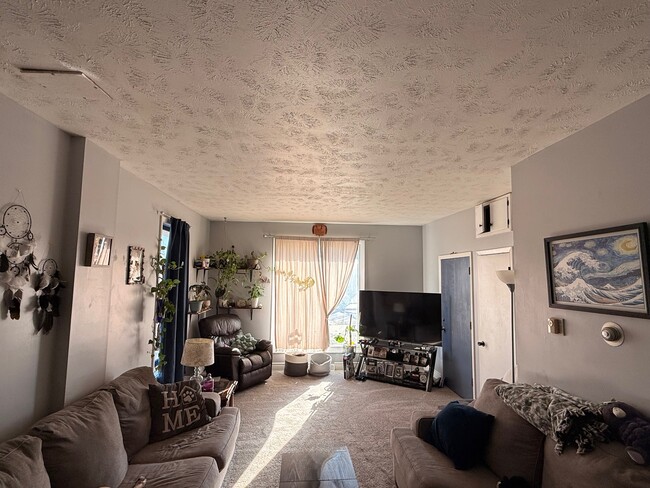 Living Room - 309 E 22nd Ave Unit C