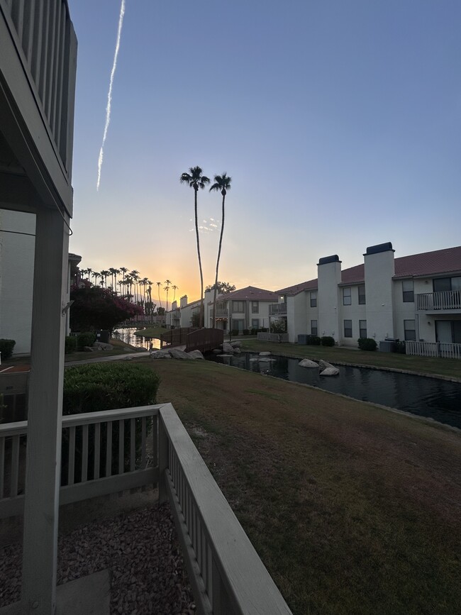 Building Photo - 43376 Cook St Unit Palm Lake #161