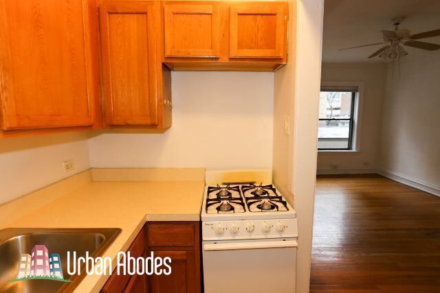 Photo - 1150 N Dearborn St Unit M01B