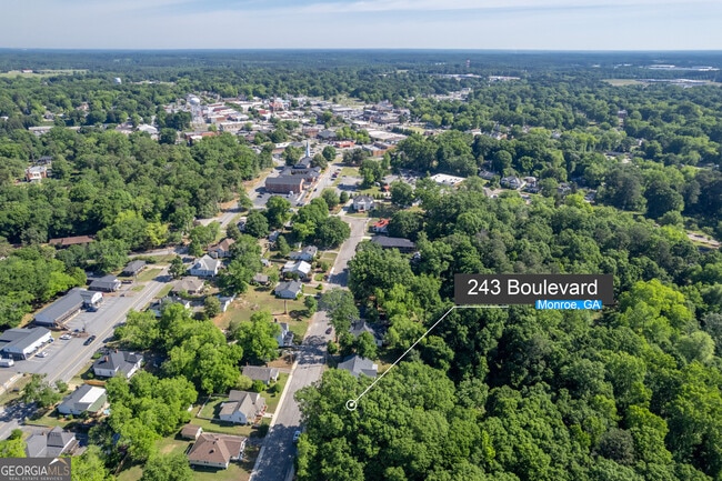 243 Boulevard