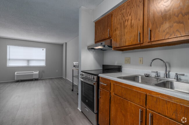 1BR, 1BA - 350 SF Studio - Kitchen