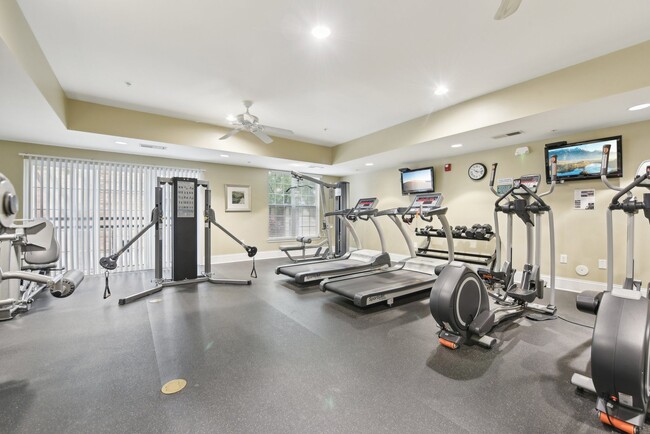 Live Oak Apartments LLC Ashley Square