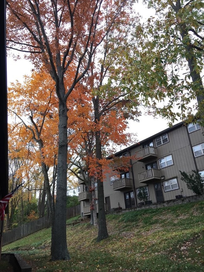Photo - Stadium Apartments
