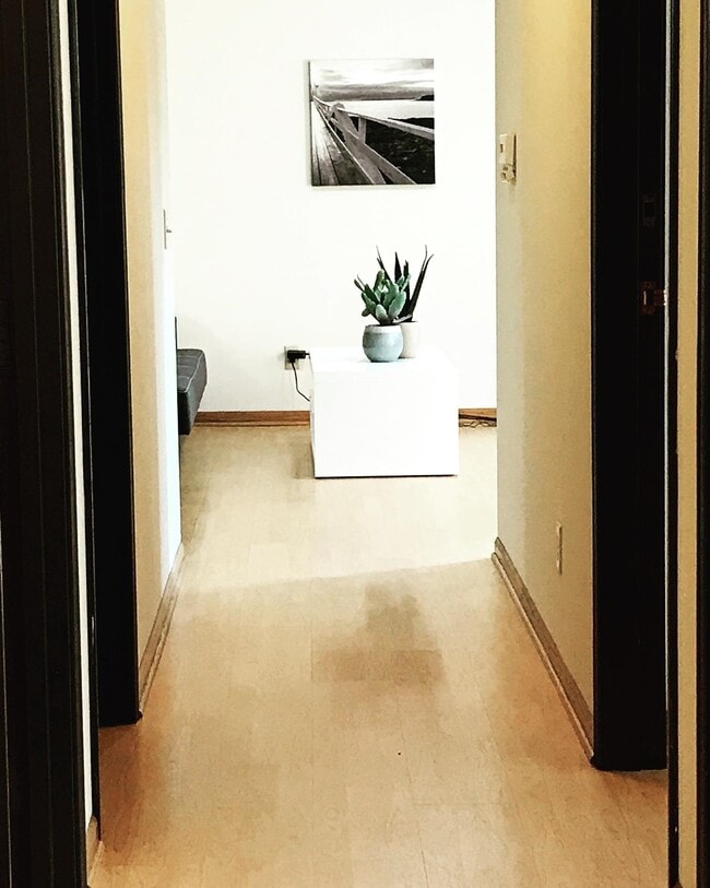 322 N Henry St Unit 201