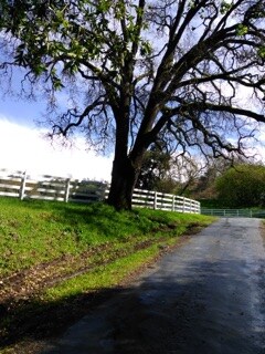 Photo - 5770 Croy Rd