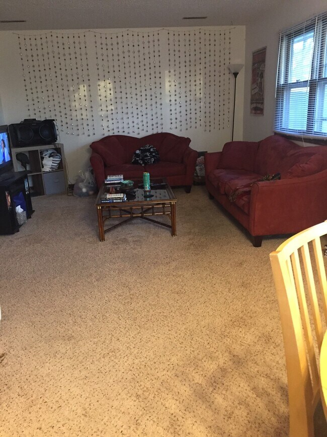 Living Room - 209 E 6th St Unit 101