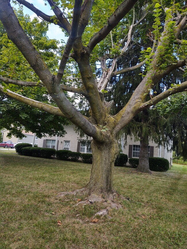 Photo - 10576 Market Ave N