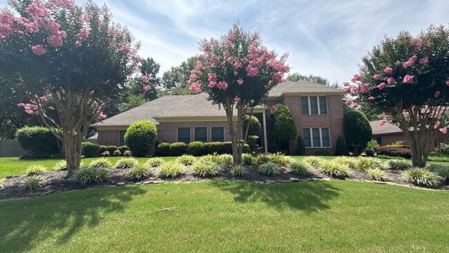 Building Photo - 983 Rolling Oaks Ln Rental