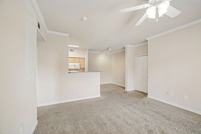 Photo - Terraces of Marine Creek