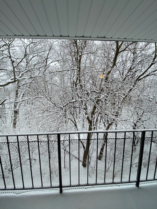 Abbey Apartments at Four Lakes Lisle, IL