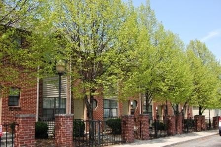 Ohio Street TownHomes - Ohio Street TownHomes