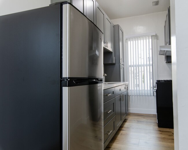 Newly Renovated Apartments