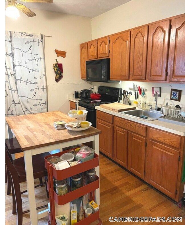 Building Photo - 122 Berkshire St Rental