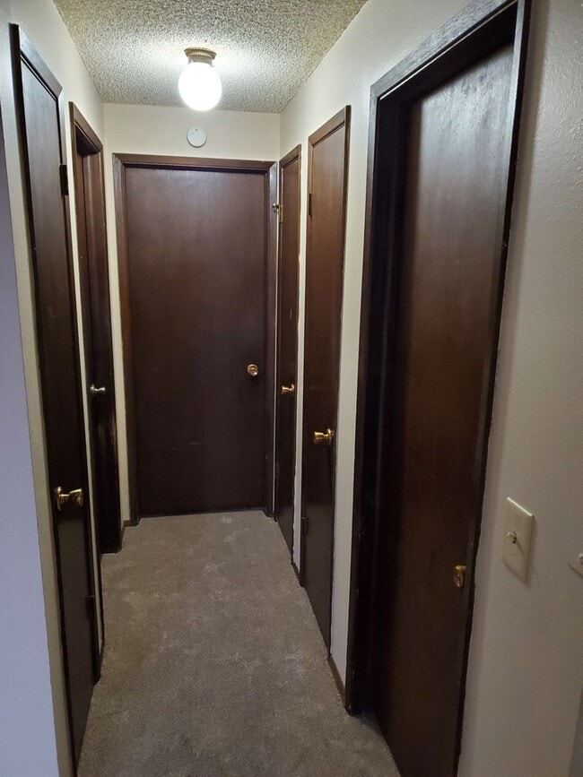 Photo - Cozy North Spokane 2BR with New Carpet & Prime Location Unit 1