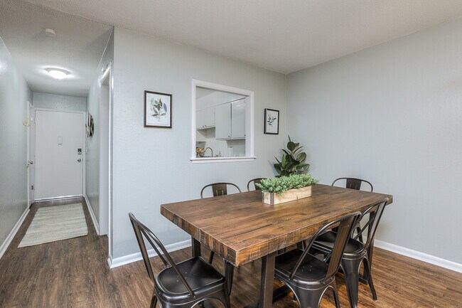 Photo - Sunny Delight