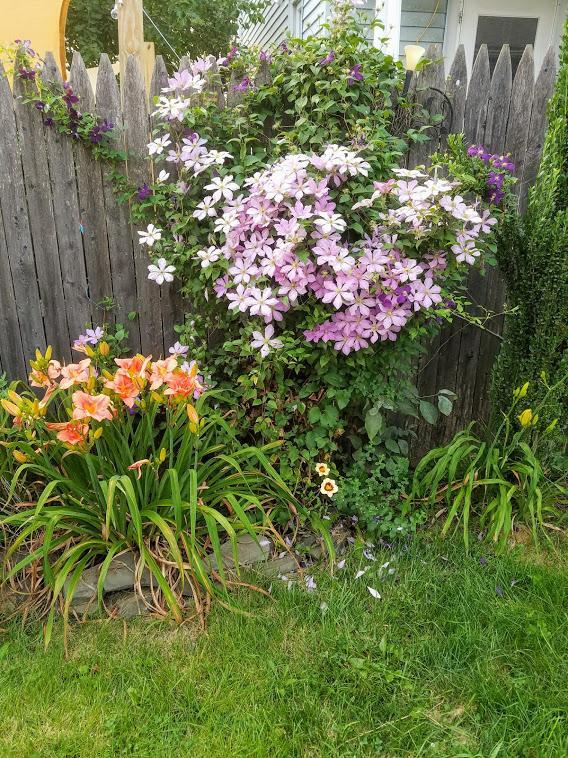 Photo - 270 Bates St