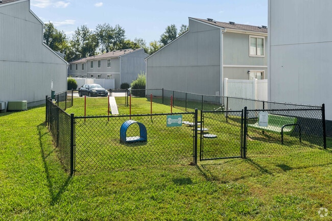 Dog Park
