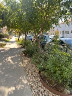 429 N Orange Grove Ave Unit 429