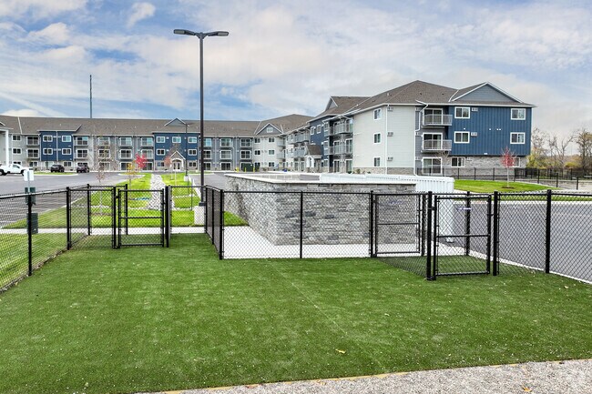 Dog Park