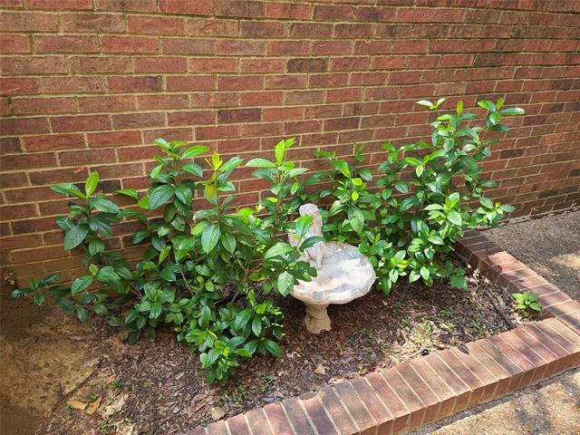 Photo - 1914 Shorewood Dr