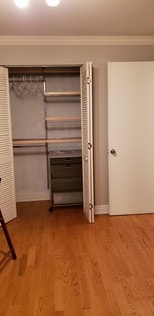 Bedroom closet - 1140 N Downing St Unit 304