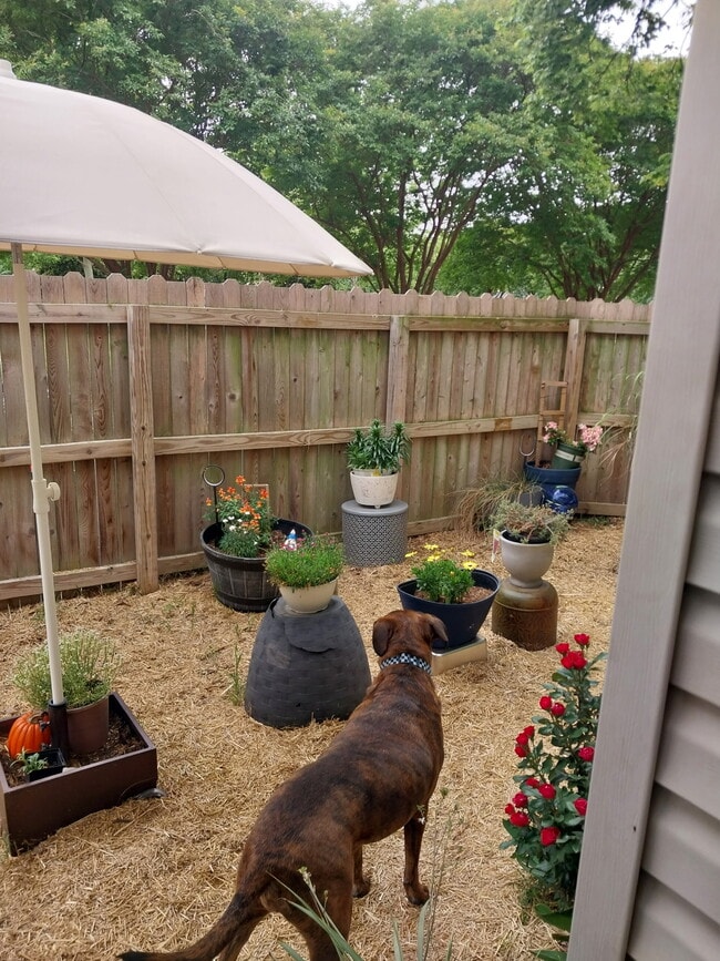 Photo - 1304 Duchess of York Quay Unidad 1304 Duchess