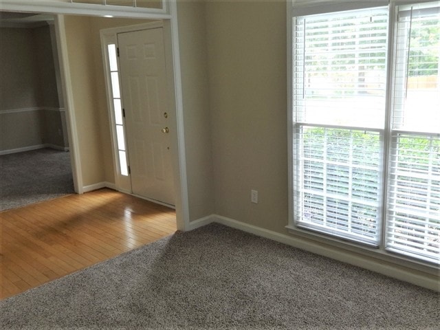 Photo - 1501 Jade Cove Dr