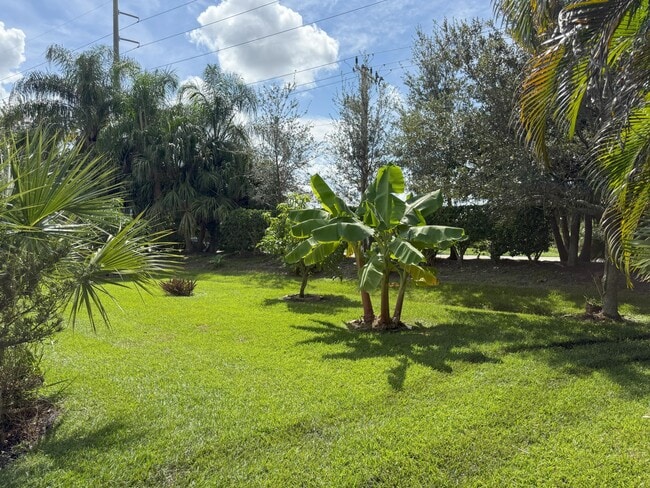 Photo - 1203 Scarlet Oak Cir