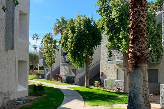 Palm Springs View Apartments
